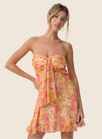 Eliza Mini Dress