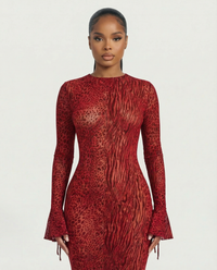Scarlett Mesh Open Back Maxi Dress