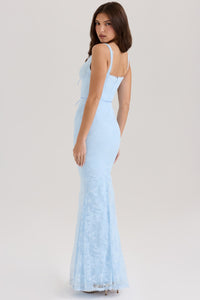 Selene Sheer Maxi Dress